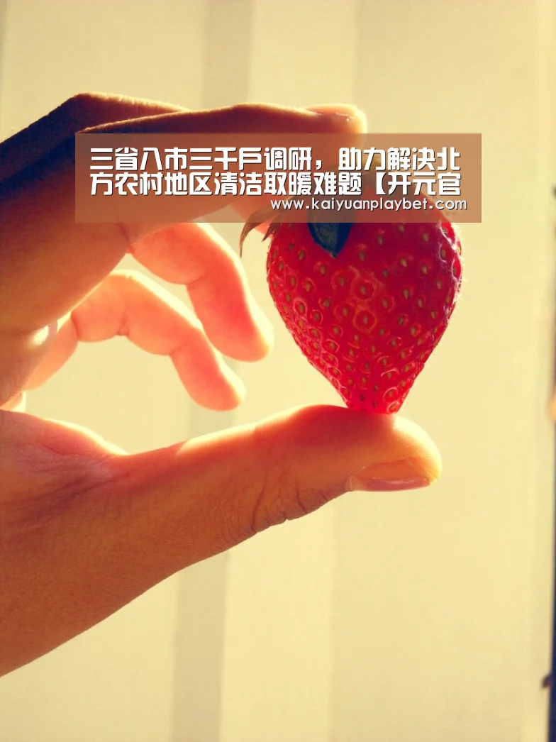 三省八市三千户调研,助力解决北方农村地区清洁取暖难题【开元官方】(图1) 开元百家乐